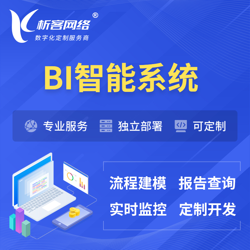 淄博BI智能系统 | BI数据可视化